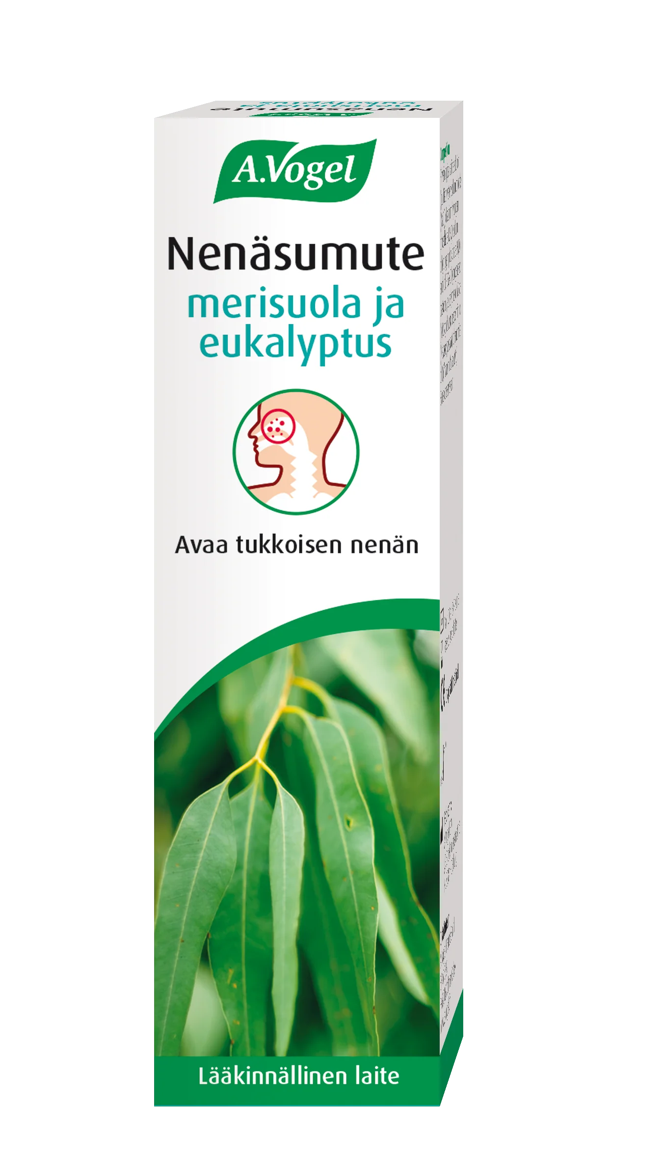 Pikkukuva 1