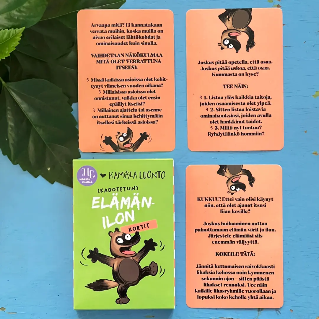 Hidasta Elämää Elämänilon kortit - Image 4