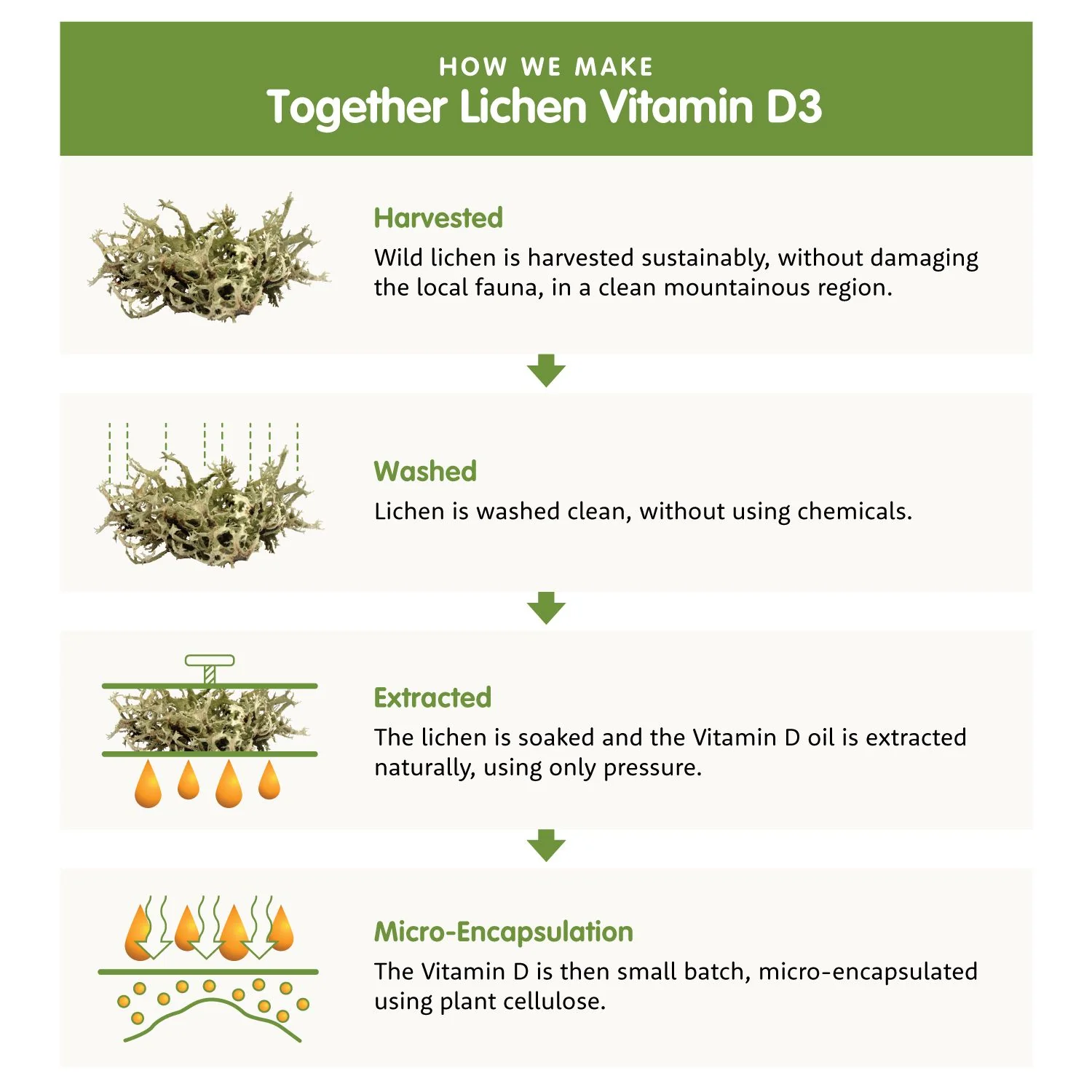 Together Health Immune - Image 4
