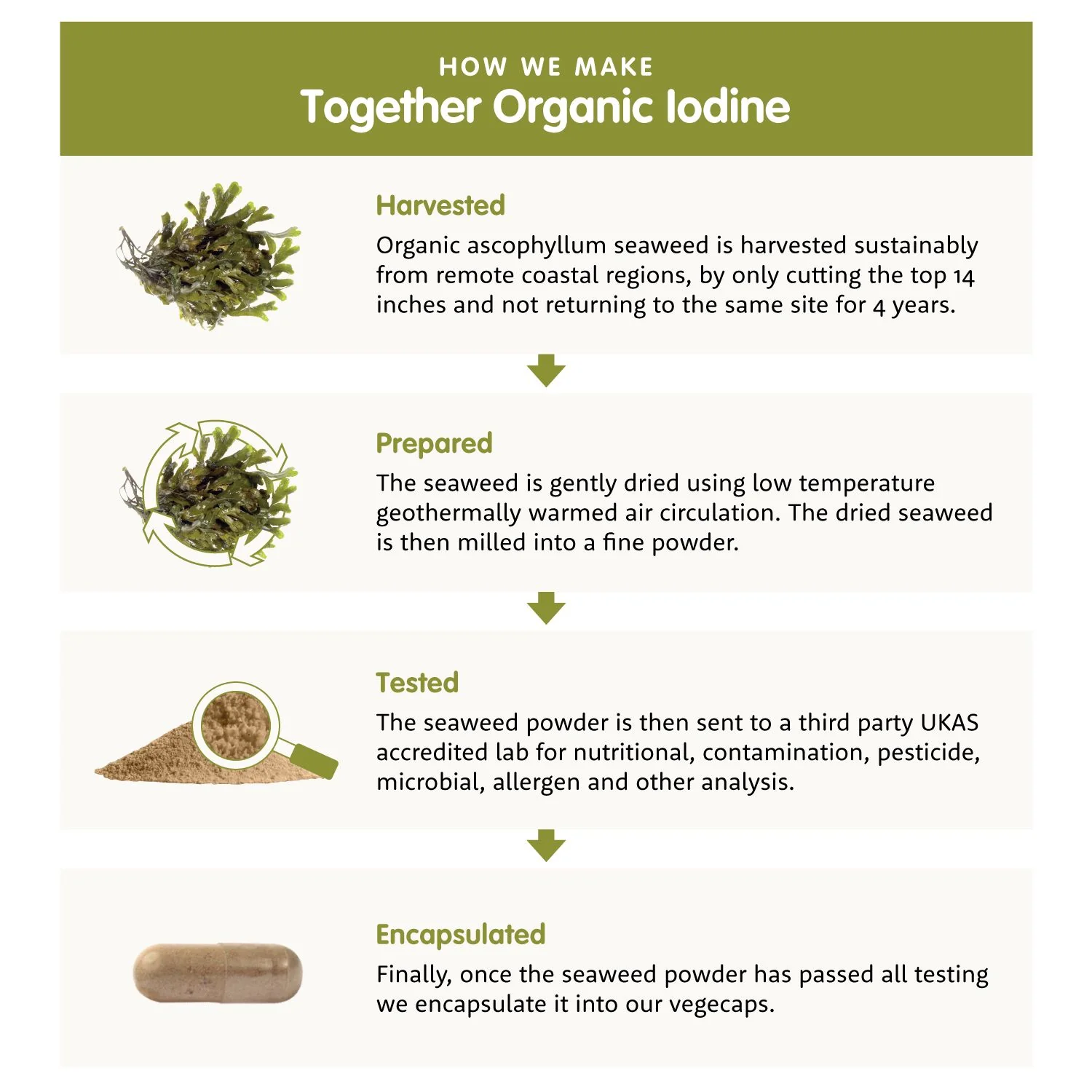 Together Health Iodine - Image 3