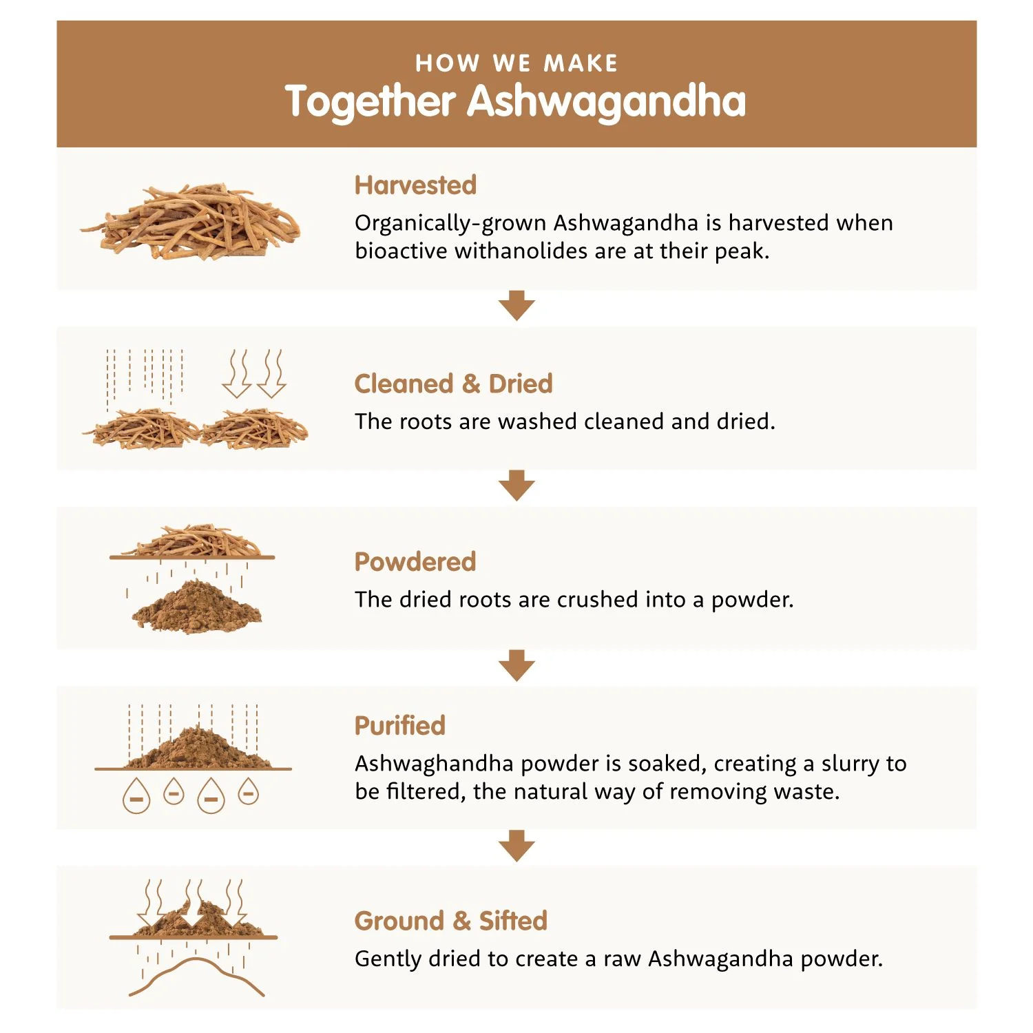 Together Health Menopause - Image 4