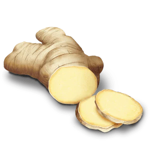 Pikkukuva 2
