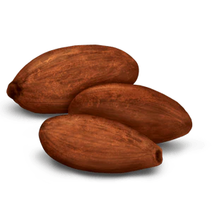 Pikkukuva 2
