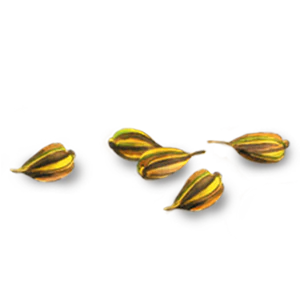Pikkukuva 2
